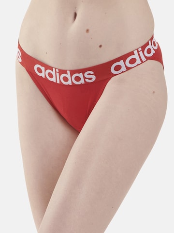 ADIDAS SPORTSWEAR Athletic Underwear in Red: front