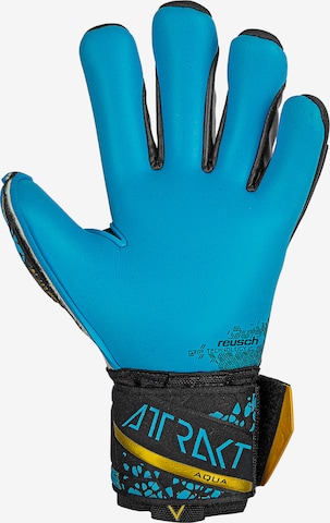 REUSCH Sporthandschoenen 'Attrakt Aqua Finger Support' in Blauw