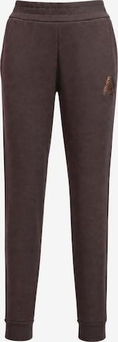 regular Pantaloni sportivi 'XW002862 AF13397' di ARMANI EXCHANGE in marrone: frontale