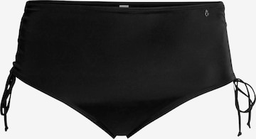 SHEEGO Bikini Bottoms in Black: front