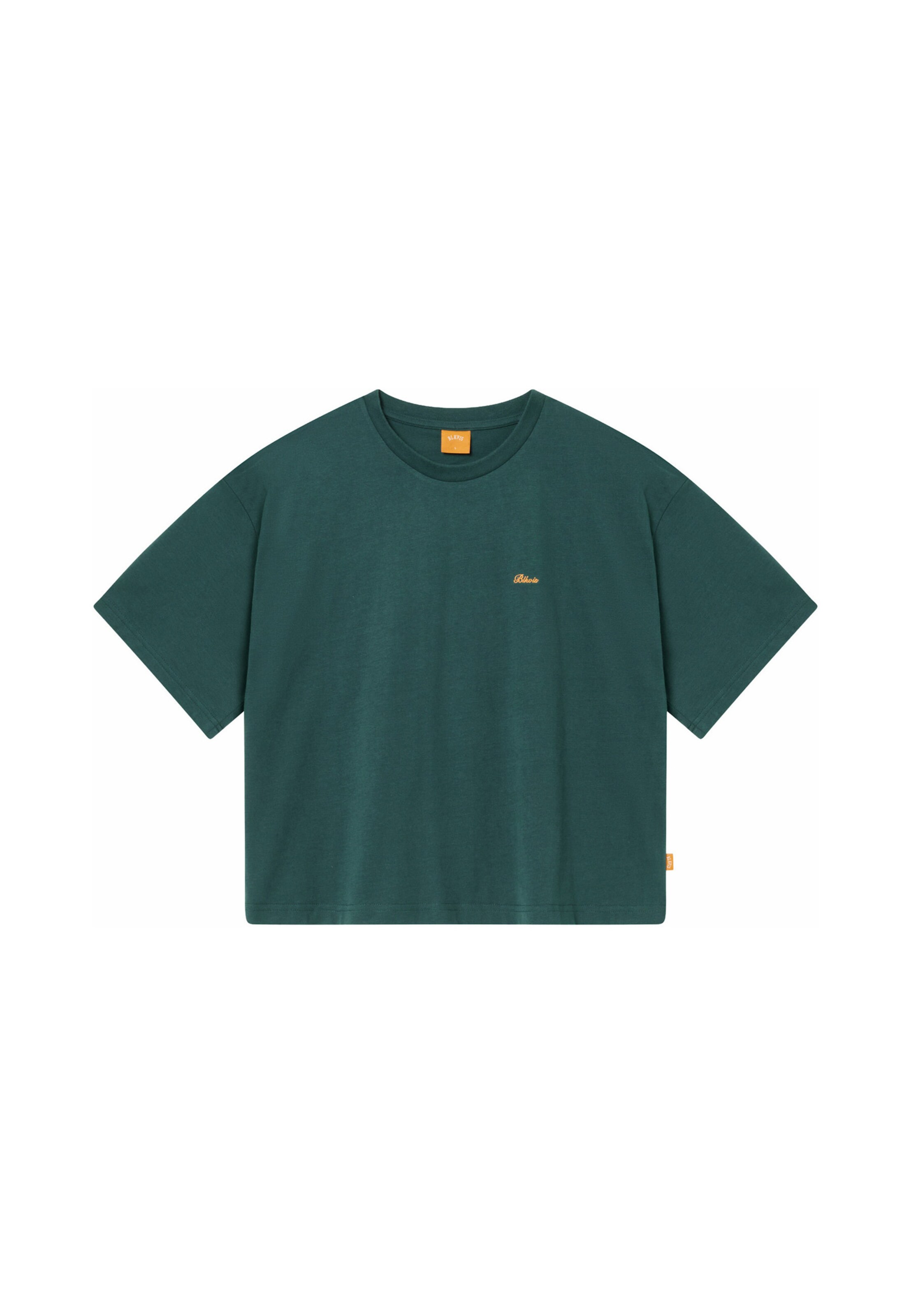 BLKVIS Shirt in Green: front