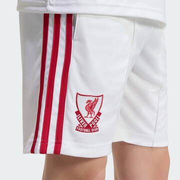 ADIDAS PERFORMANCEregular Sportske hlače 'Liverpool FC 26/27' - bijela boja