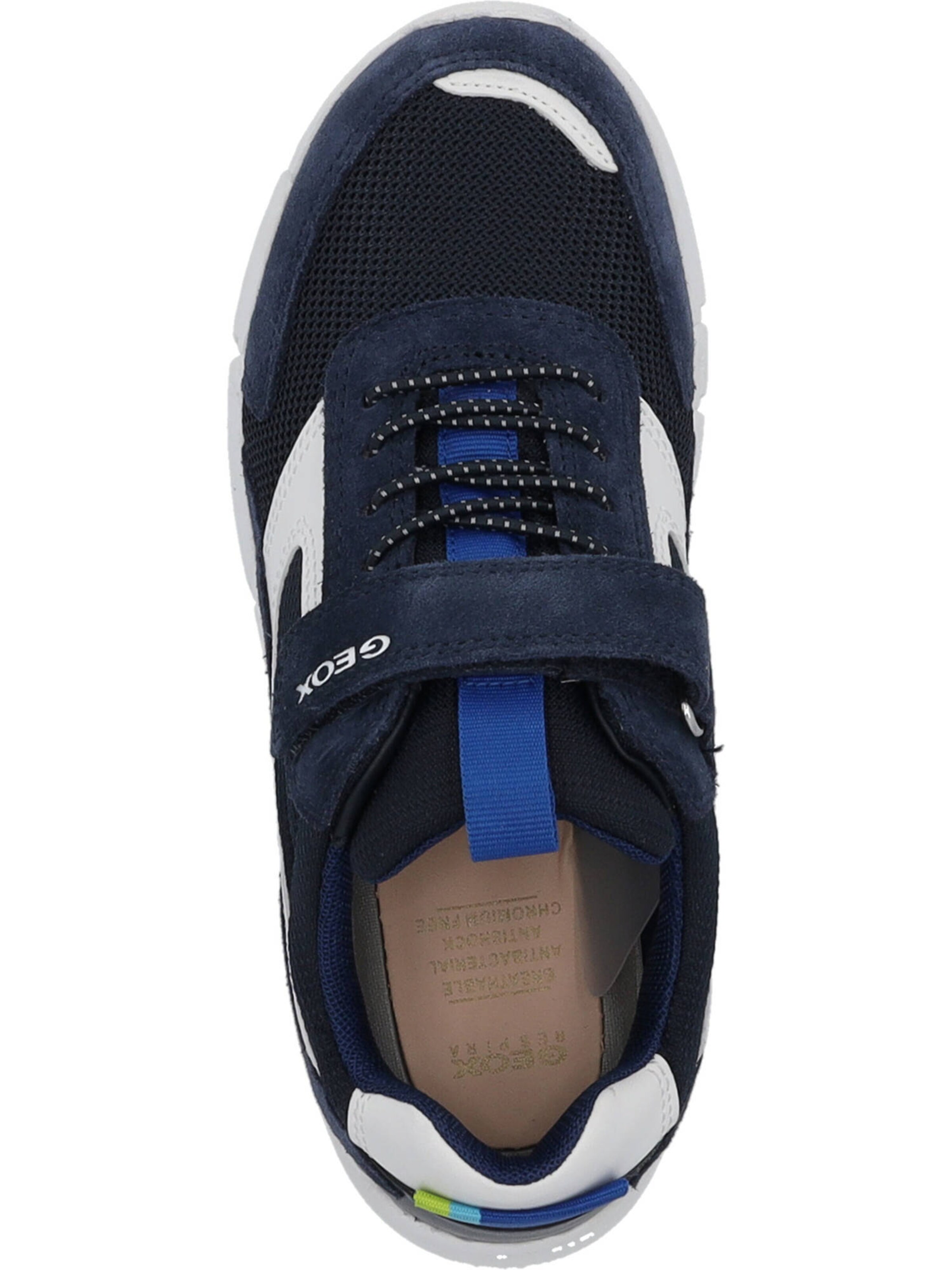 GEOX Sneakers in Blue