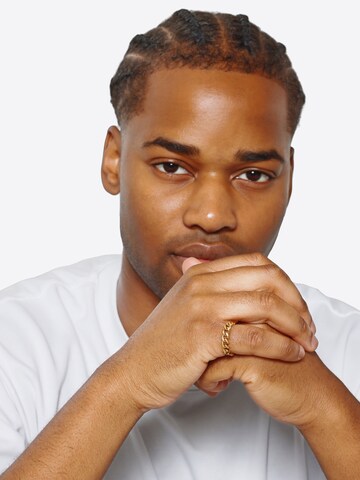 Heideman Ring 'Sage' in Gold: front