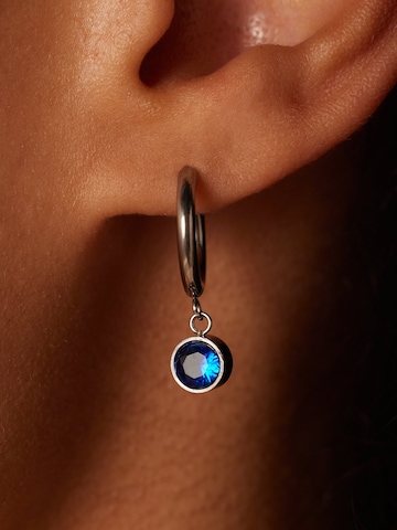 Lucardi Oorbellen in Zilver