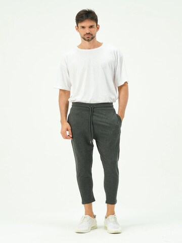 C&City Tapered Pants in Grey