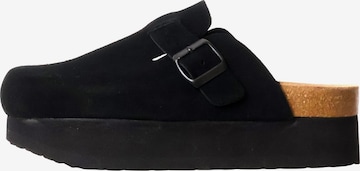 Zoccoletto di Findlay in nero: frontale