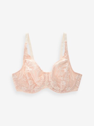 Next Push-up Bra in Beige