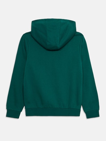 ELLESSE Sweatshirt 'Otternere' in Groen
