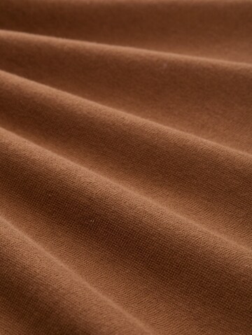 TOM TAILOR DENIM Sweater in Brown