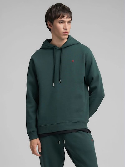 REPLAY Sweat-shirt en vert, Vue avec produit