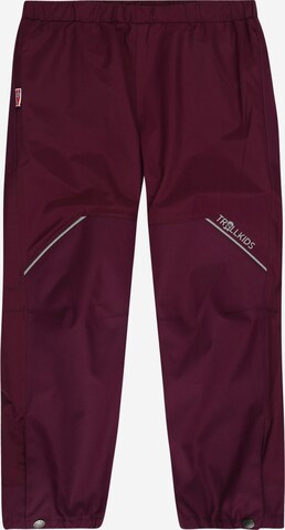 regular Pantaloni per outdoor di TROLLKIDS in rosa: frontale