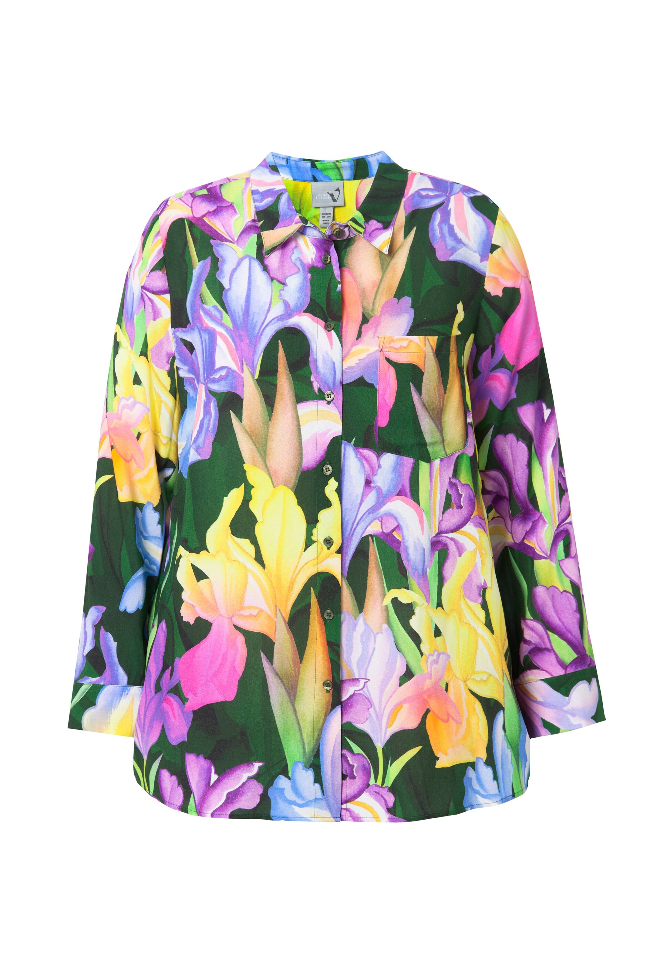 Ulla Popken Bluse in Grün: Vorderseite