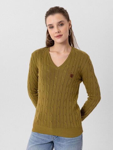 Jacey Quinn Pullover 'Joaquin' in Grün: Vorderseite