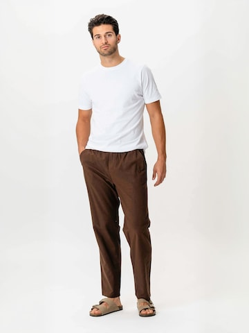 regular Pantaloni ' Cotton ' di TEESHOPPEN in marrone: frontale