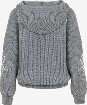 Pull-over NOCTURNE en gris