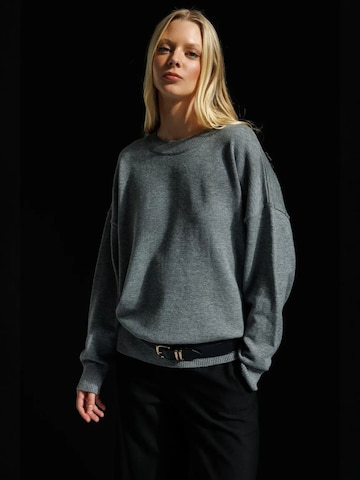 Pullover 'Pullover' di MixRay in grigio