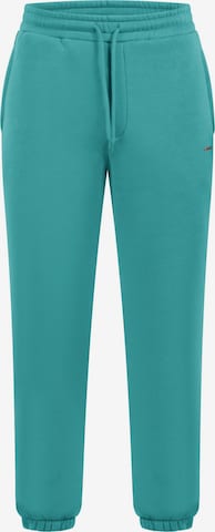 Smilodox Trousers in Blue: front