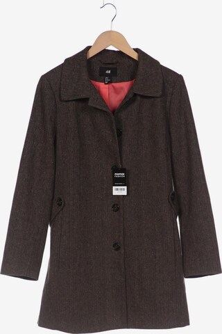 H&M Jacket & Coat in XXXL in Brown: front