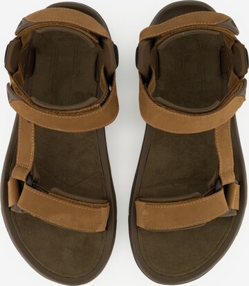 TEVA Hiking Sandals 'Terra' in Brown