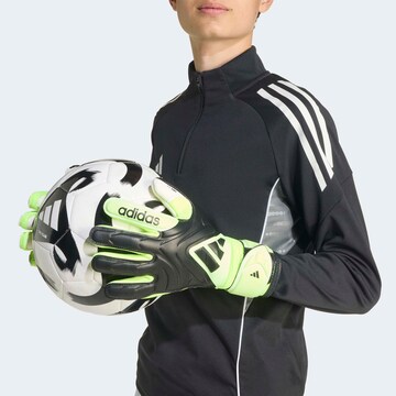ADIDAS PERFORMANCE Athletic Gloves in Black