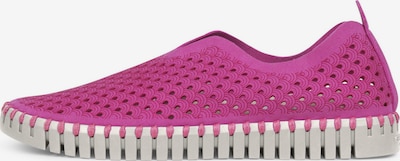 ILSE JACOBSEN Slip on 'Tulip' en magenta / blanc, Vue avec produit