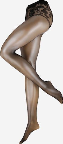 FALKE Fine Tights 'Sheer Lady' in Black: front