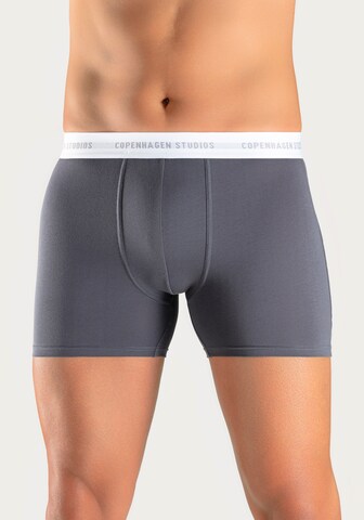 Copenhagen Studios - Calzoncillo boxer en gris: frente