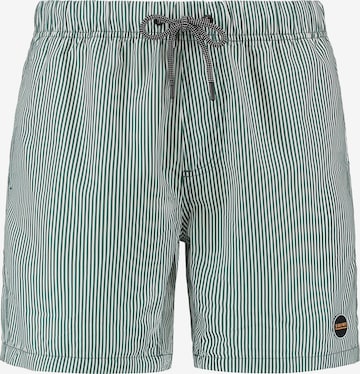 Shorts de bain Shiwi en vert : devant