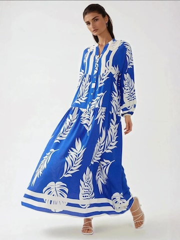 Hiccup Jurk in Blauw