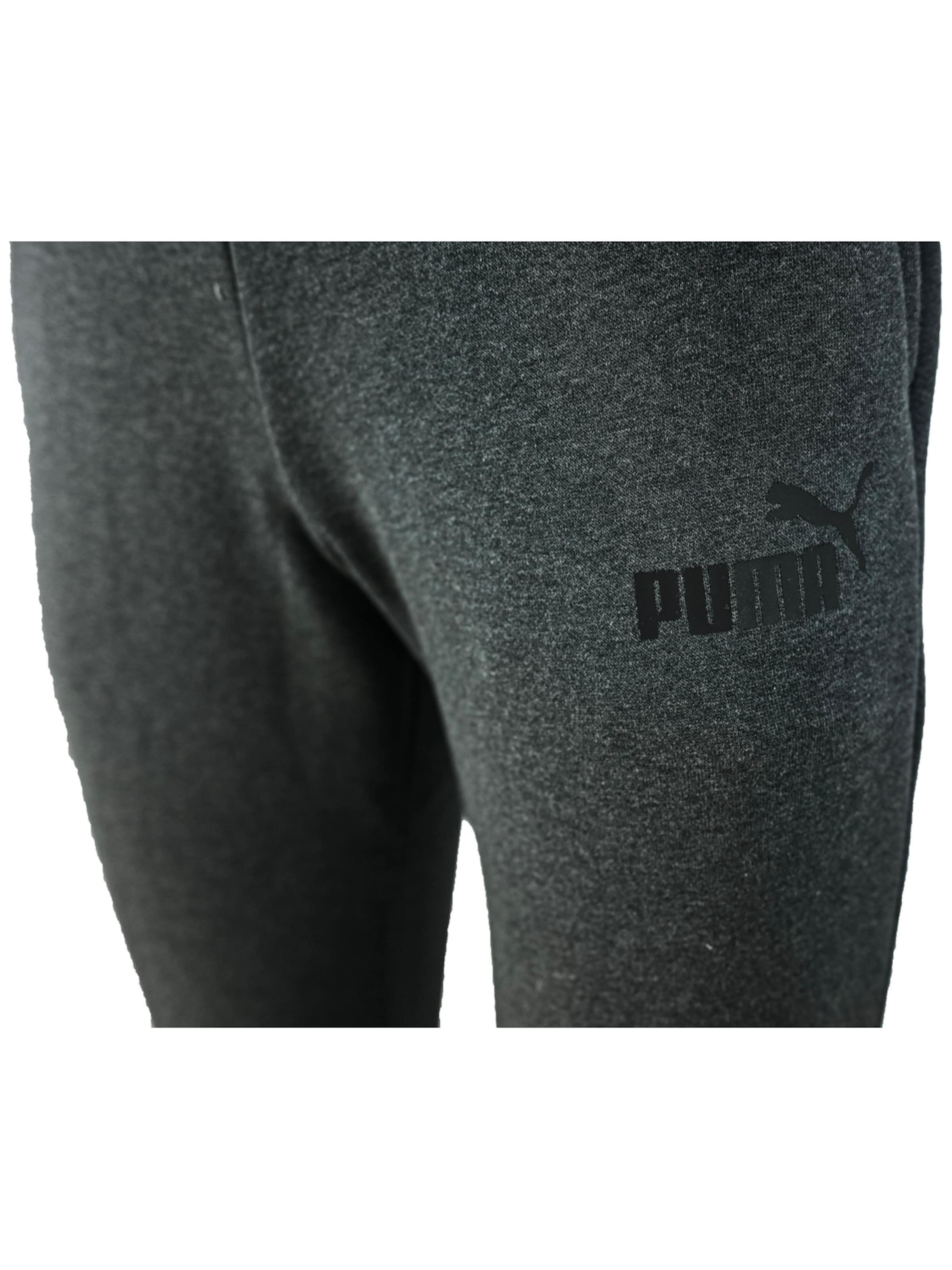 PUMA Regular Sporthose 'Puma Essentials Logo'‌‌‌‌‌‌ in Grau
