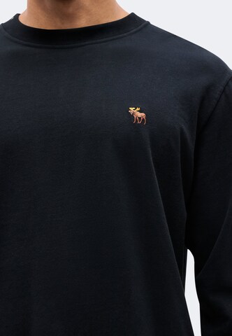 Abercrombie & Fitch Футболка в Коричневый: спереди