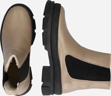 ANGULUS Chelsea Boots in Beige