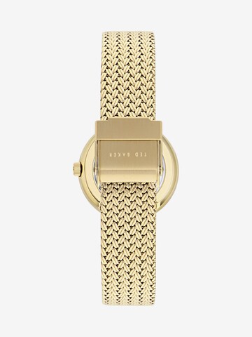 Ted Baker Analoguhr in Gold