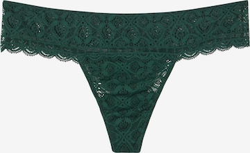 INTIMISSIMI Thong in Green: front