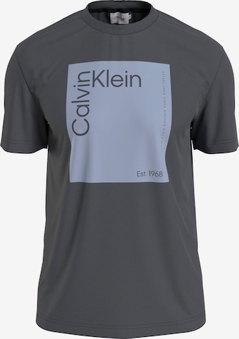 Calvin Klein T-Shirt in Grau: predná strana