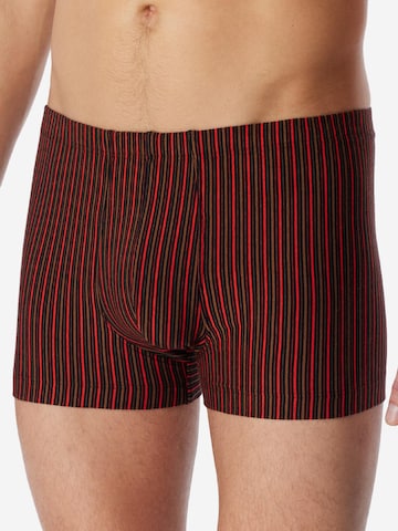 SCHIESSER Boxershorts '95/5 Essentials - Cotton' in Gemengde kleuren