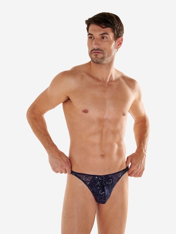 Slip ' Purple ' HOM en bleu : devant