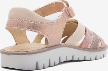 PRIMIGI Sandals & Slippers 'Pax' in Pink