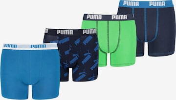 Sous-vêtements PUMA en bleu : devant