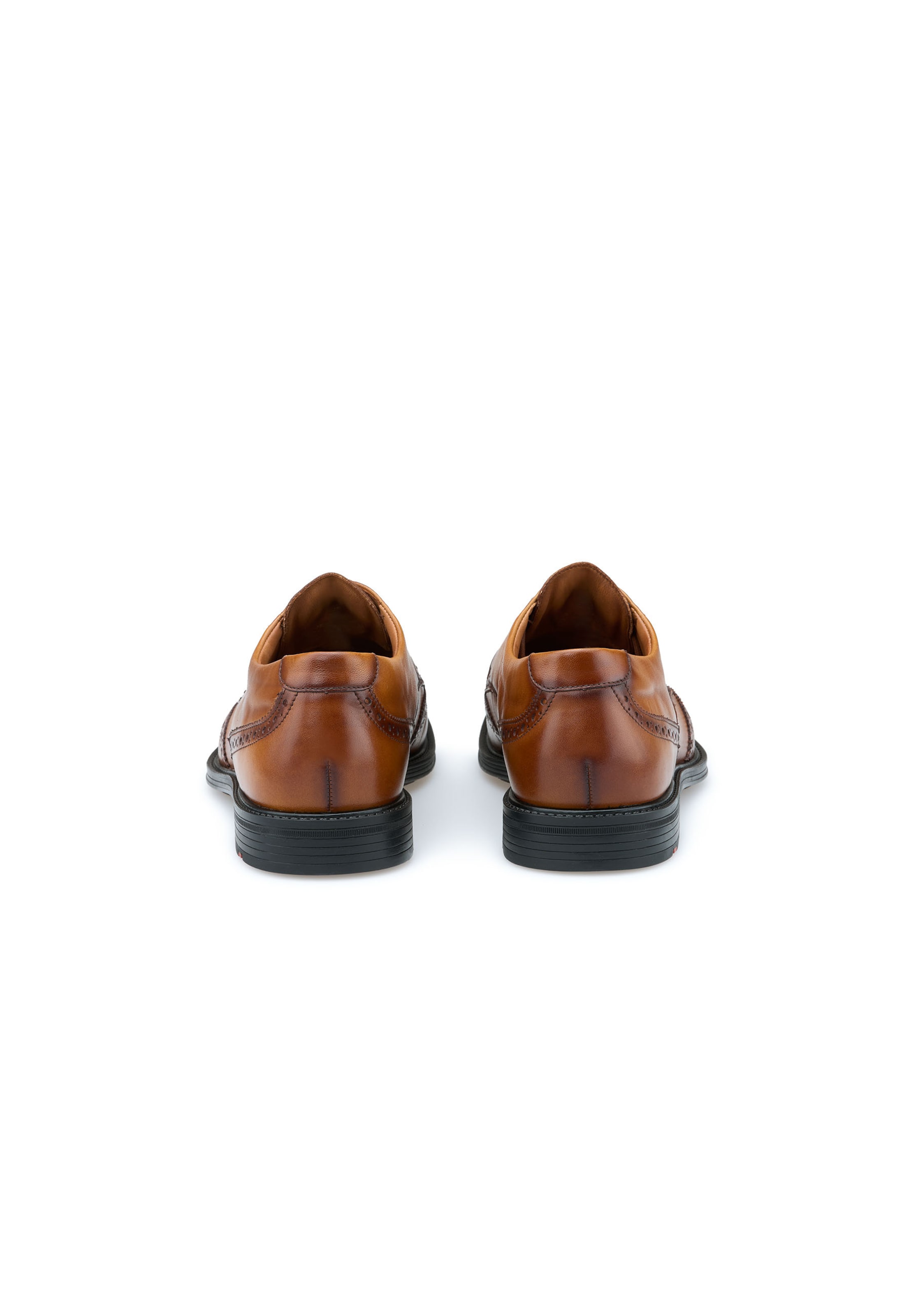 Scarpa stringata 'X-MOTION 140W' di LLOYD in marrone