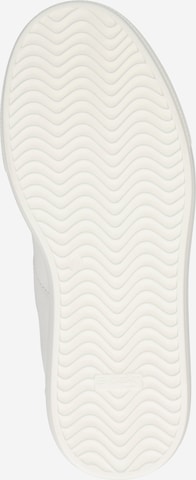 ROYAL REPUBLIQ حذاء رياضي برقبة 'Dare Buffer' بلون أبيض