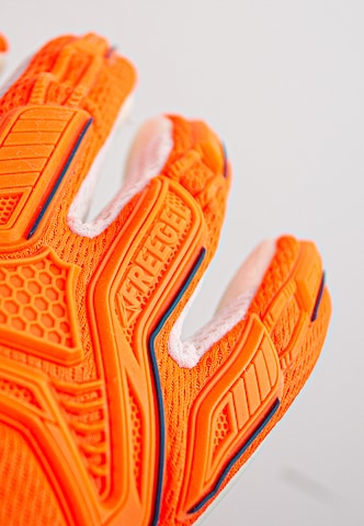 REUSCH Athletic Gloves 'Attrakt' in Orange