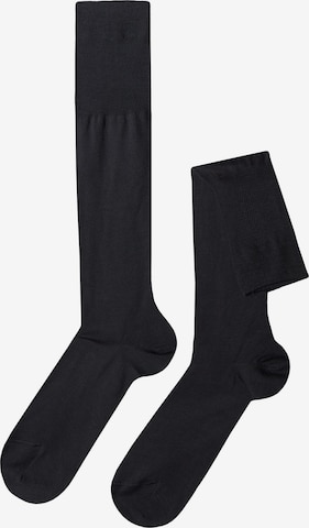 CALZEDONIA Knee High Socks in Grey: front