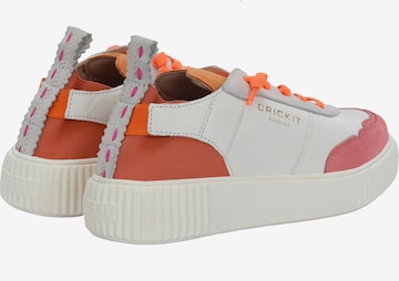 Crickit Sneakers ' OAKLI ' in Mixed colors