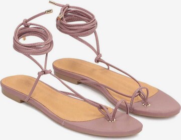 Kazar T-Bar Sandals in Purple