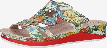 Laura Vita Mules in Mixed colors: front