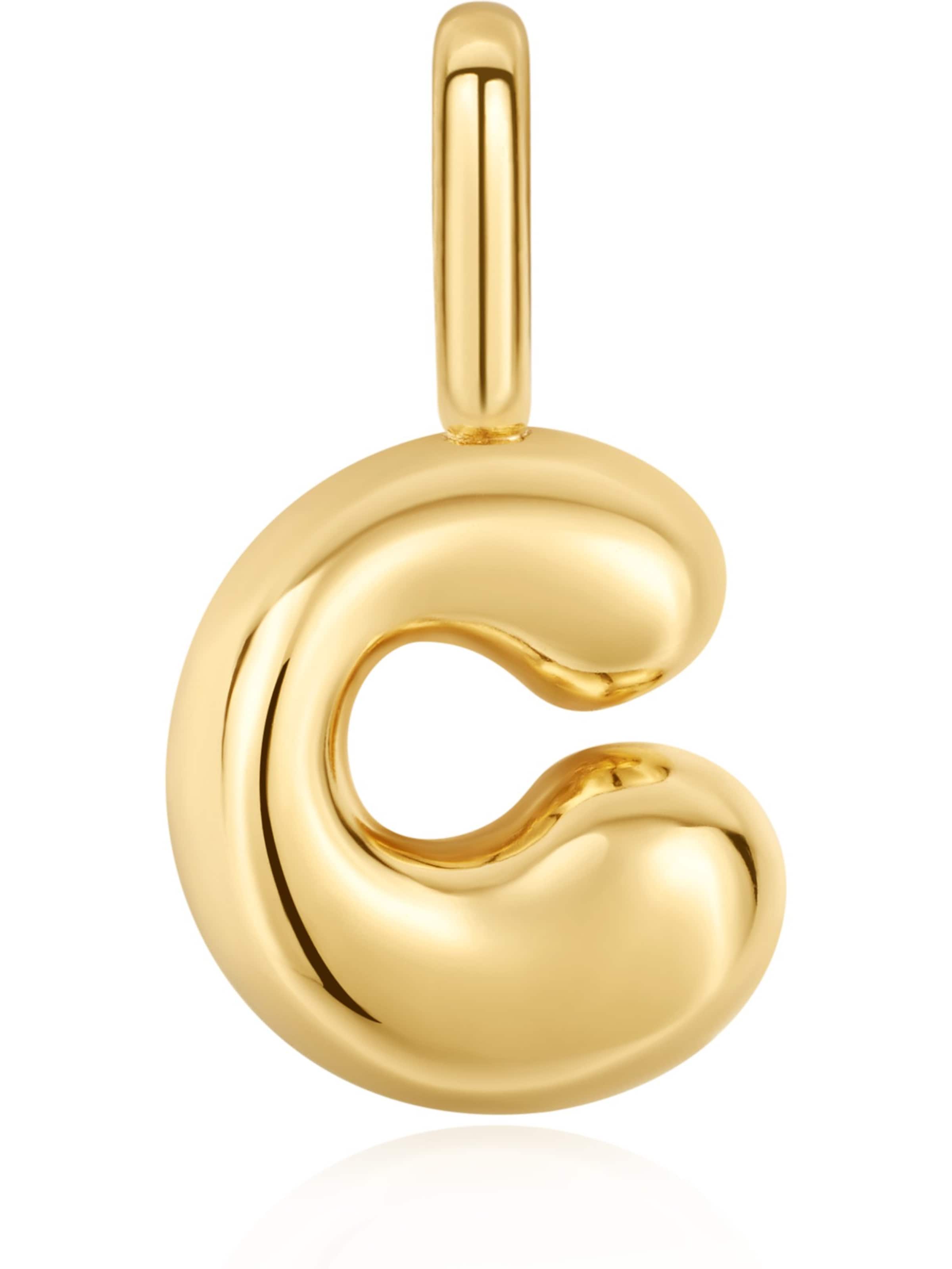 ANIA HAIE Anhänger in Gold: Vorderseite