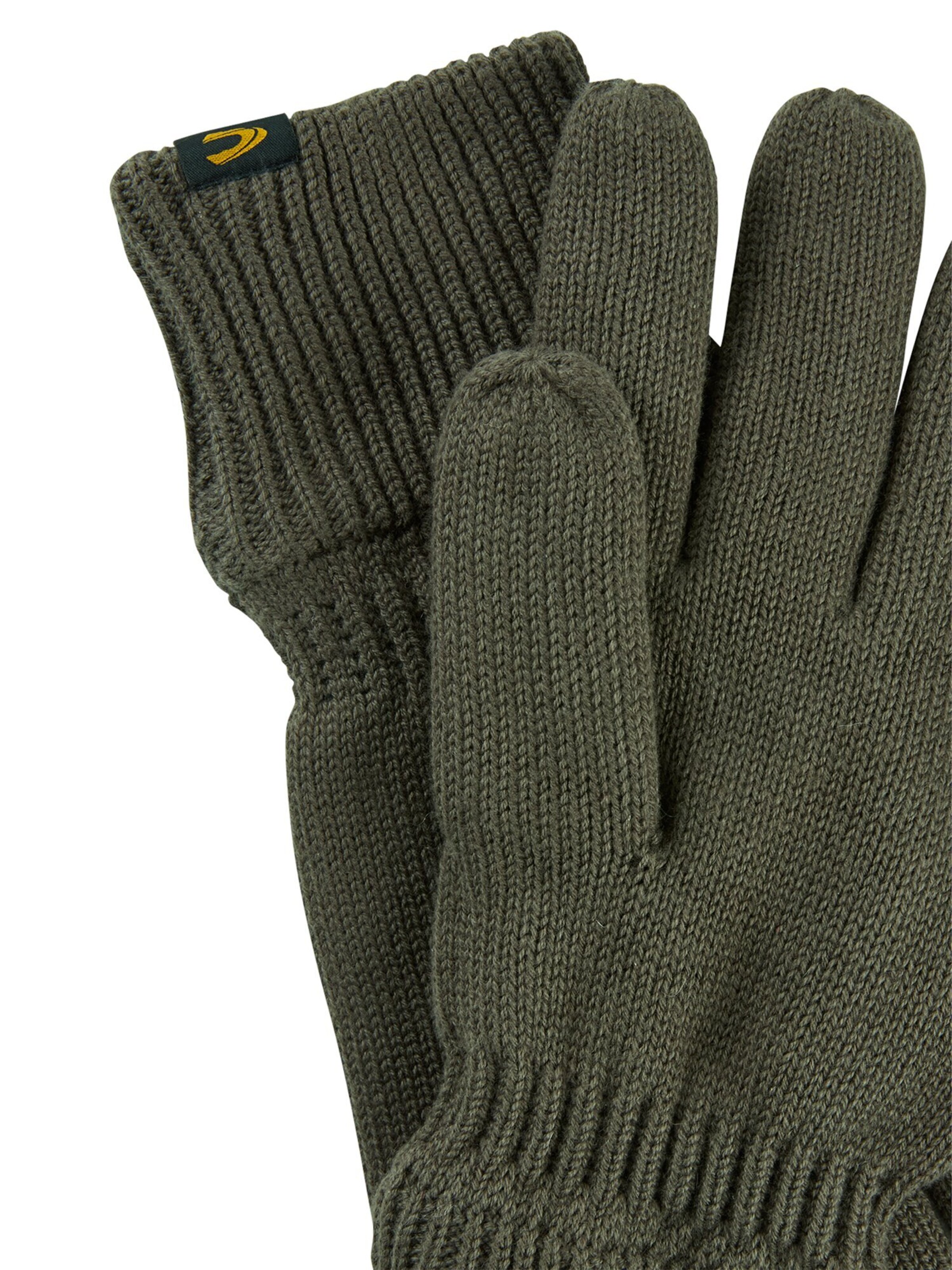 CAMEL ACTIVE Full Finger Gloves in Green