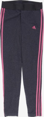 ADIDAS PERFORMANCE Stoffhose S in Grau: predná strana